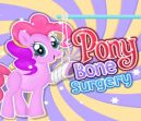 Pony Bone Surgery